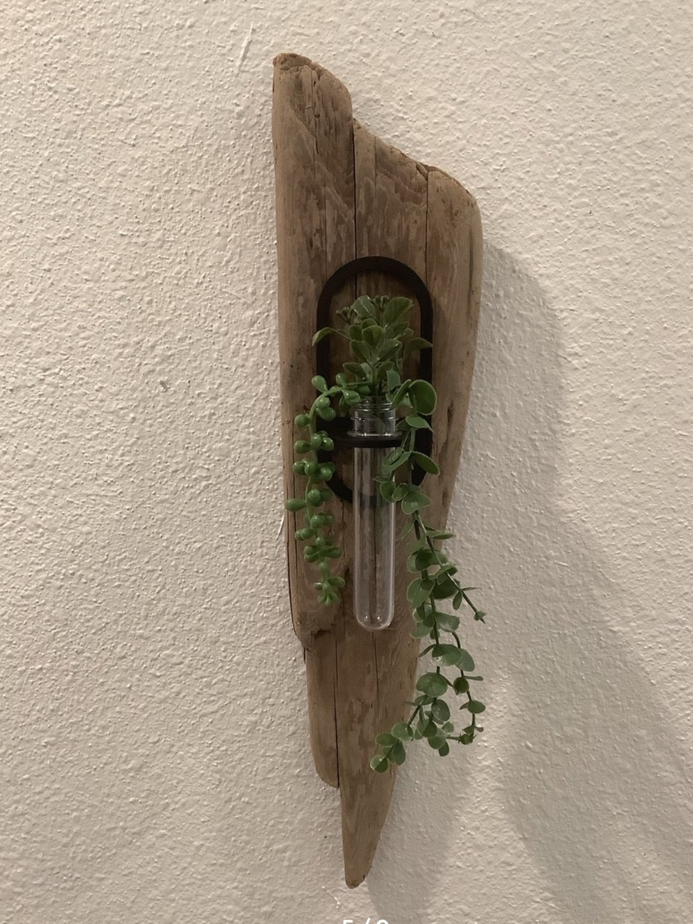 Driftwood Art , Driftwood Hanging Plant Plaque, Driftwood Coastal Art - Picture 5 of 8